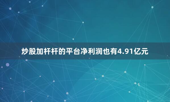 炒股加杆杆的平台净利润也有4.91亿元